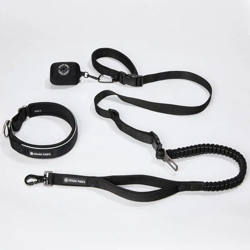 Martingale Collar and Multipurpose Leash Set - Black