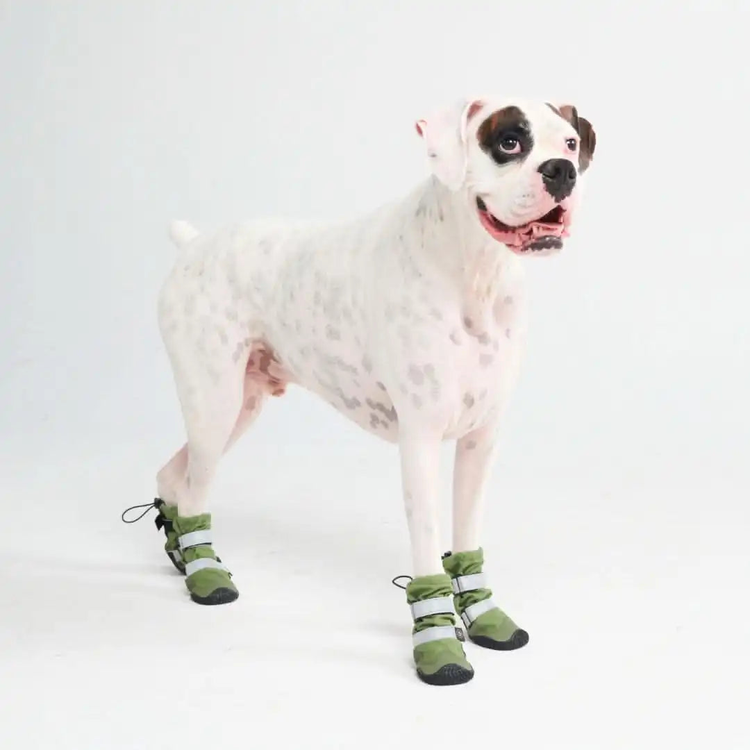 Dog Rainboots, Waterproof Dog Shoes