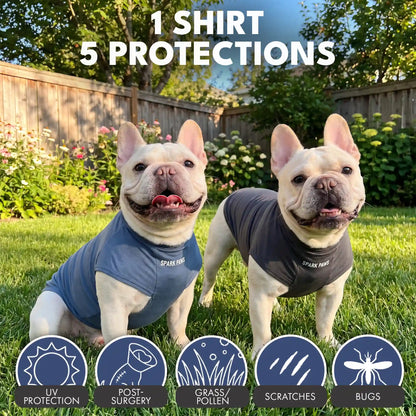 Sunblock Dog T-Shirt 2-pack