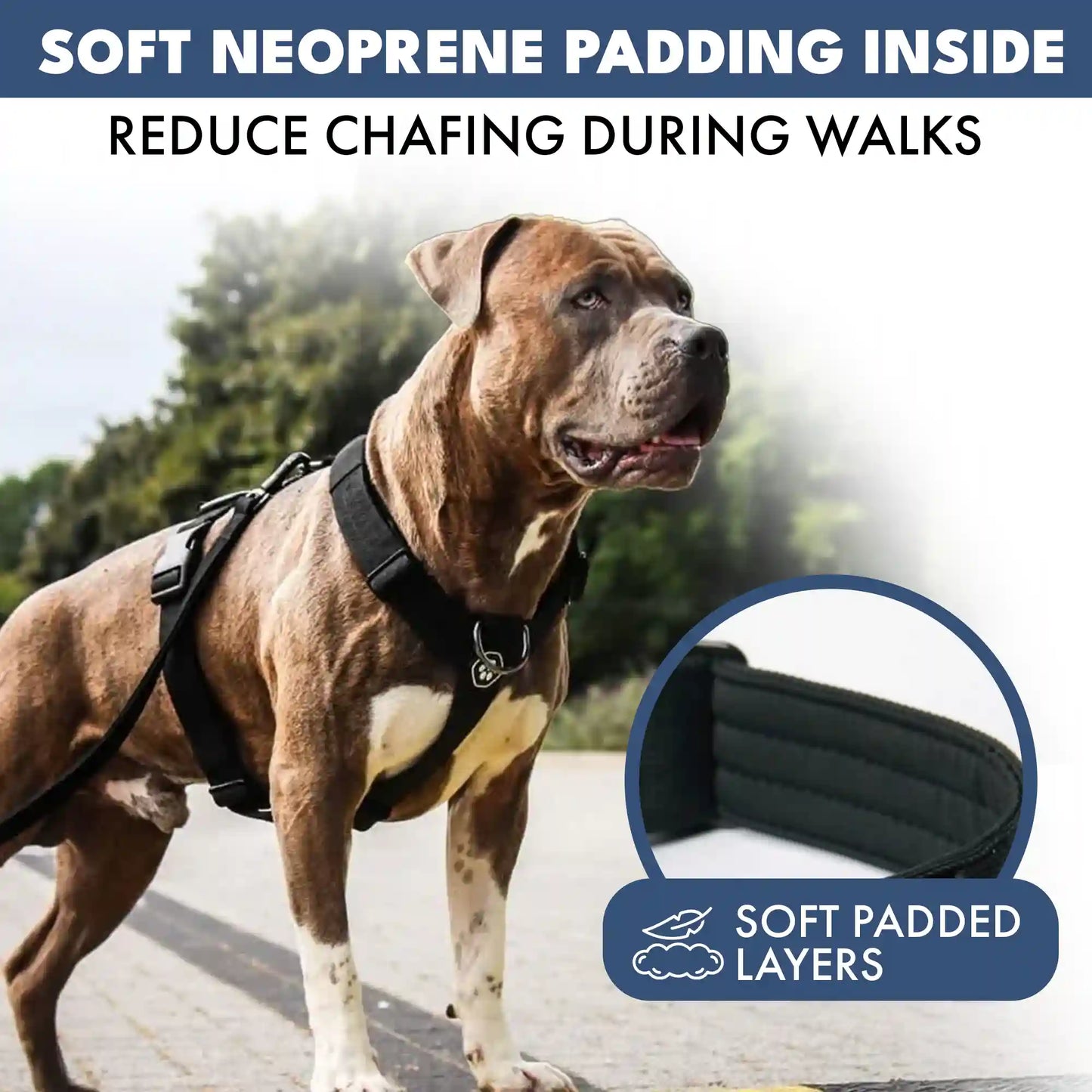Comfort Control No-Pull Dog Harness - Black