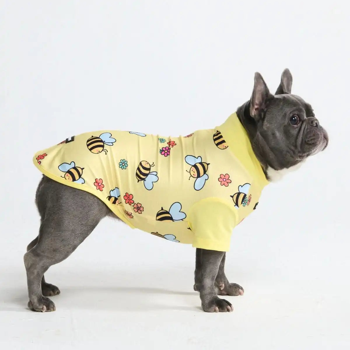 Sunblock Dog T-Shirt - Prints