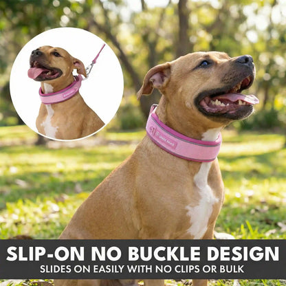 Martingale Collar and Multipurpose Leash Set - Pink