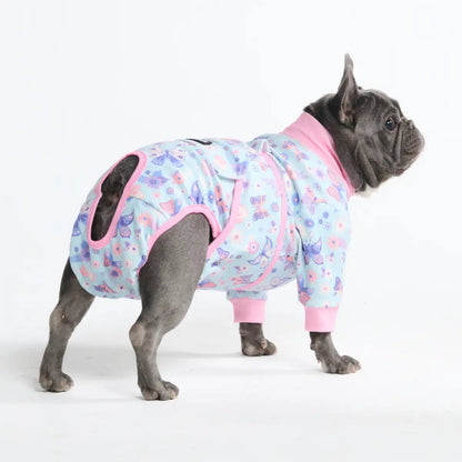 Dog Surgical Suit