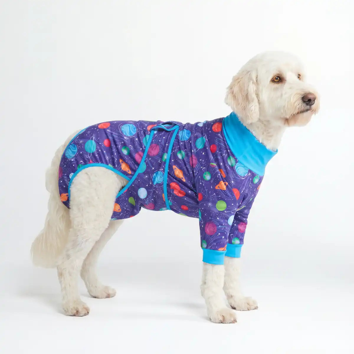 Dog Surgical Suit