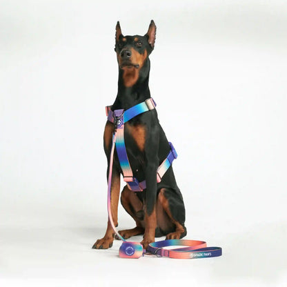 Leash and Poop Bag Holder Set