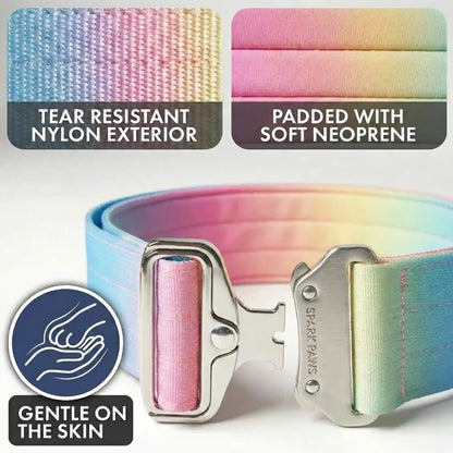 Comfort Control Dog Collar Sets