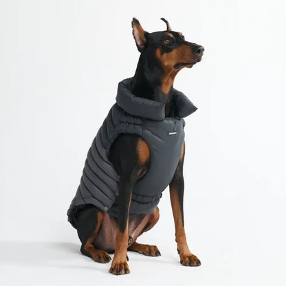 PuffShield Winter Jackets