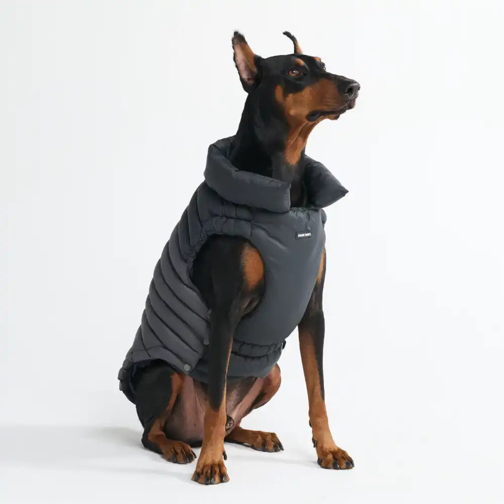PuffShield Winter Jacket - Black
