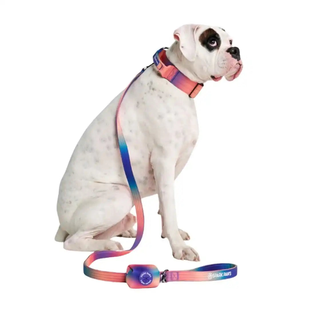 Leash and Poop Bag Holder Set