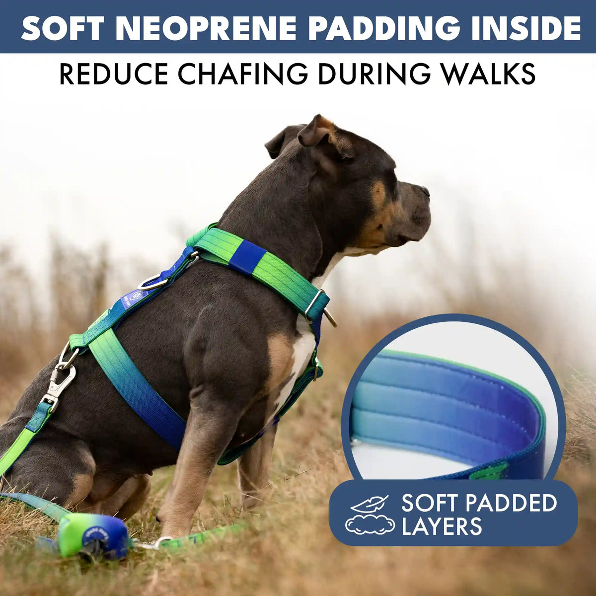 Comfort Control No-Pull Dog Harnesses