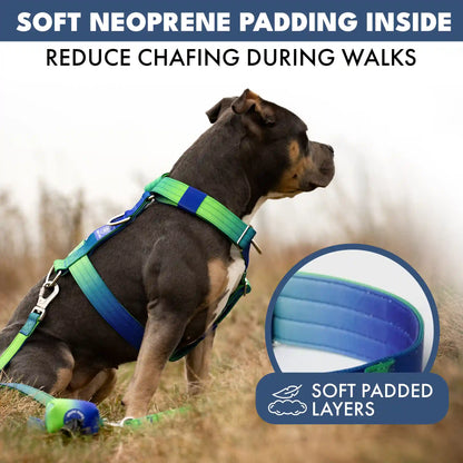 Comfort Control No-Pull Dog Harness - Lime Wave