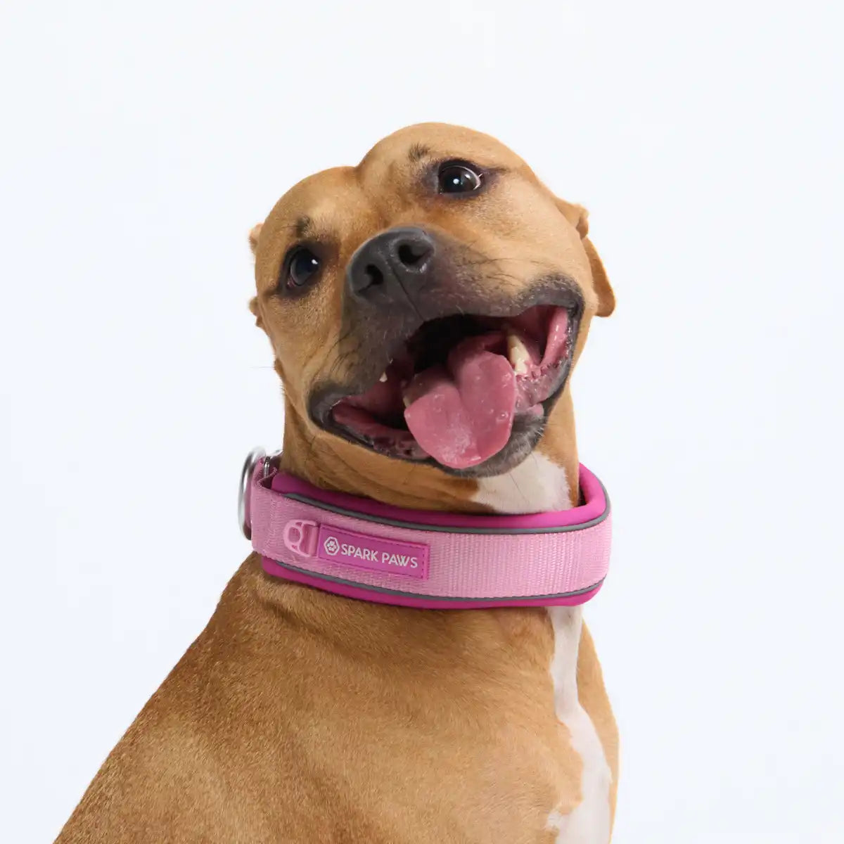 Cushioned Martingale Collars