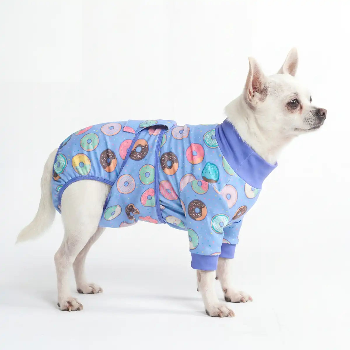 Dog Surgical Suit