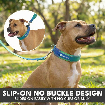Martingale Collar and Multipurpose Leash Set - Lime Wave