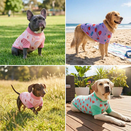Sunblock T-Shirt 3 Pack