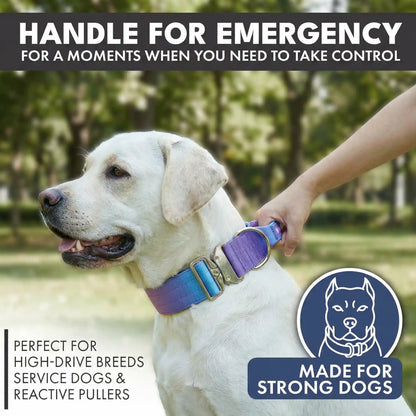 Comfort Control Collar and Multipurpose Leash Sets