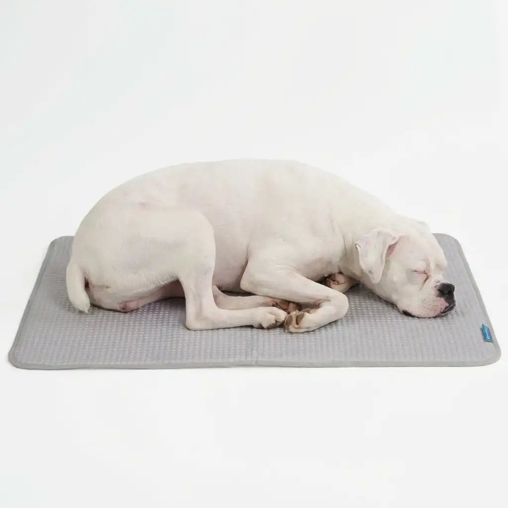 Frostcore™ Cooling Mat