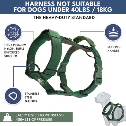 Comfort Control No-Pull Dog Harness and Multipurpose Leash Sets