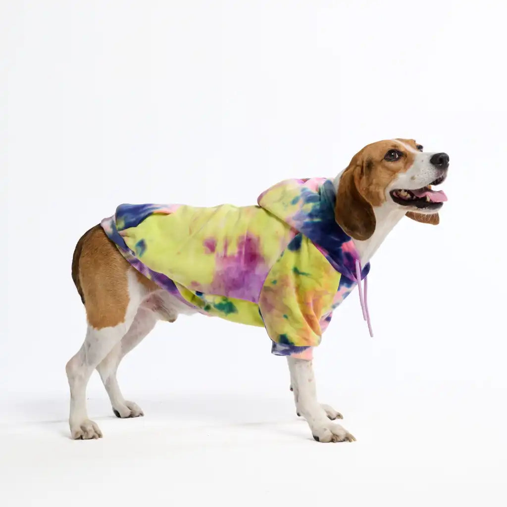 Velvet Dog Hoodies