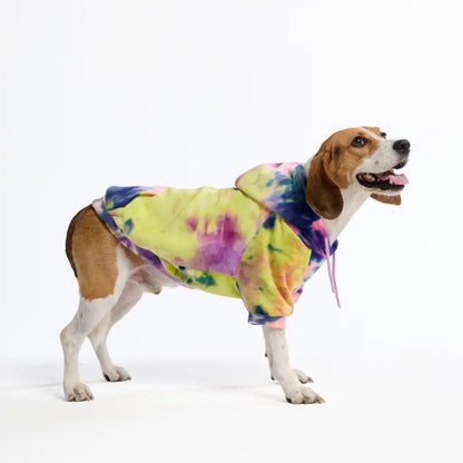 Velvet Dog Hoodies