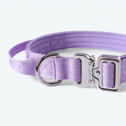 Comfort Control Dog Collars