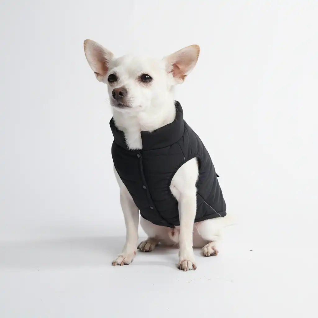 WarmShield Water-Resistant Jacket - Black