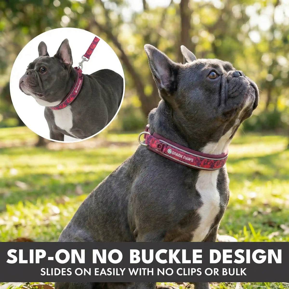 Martingale Collar and Multipurpose Leash Sets