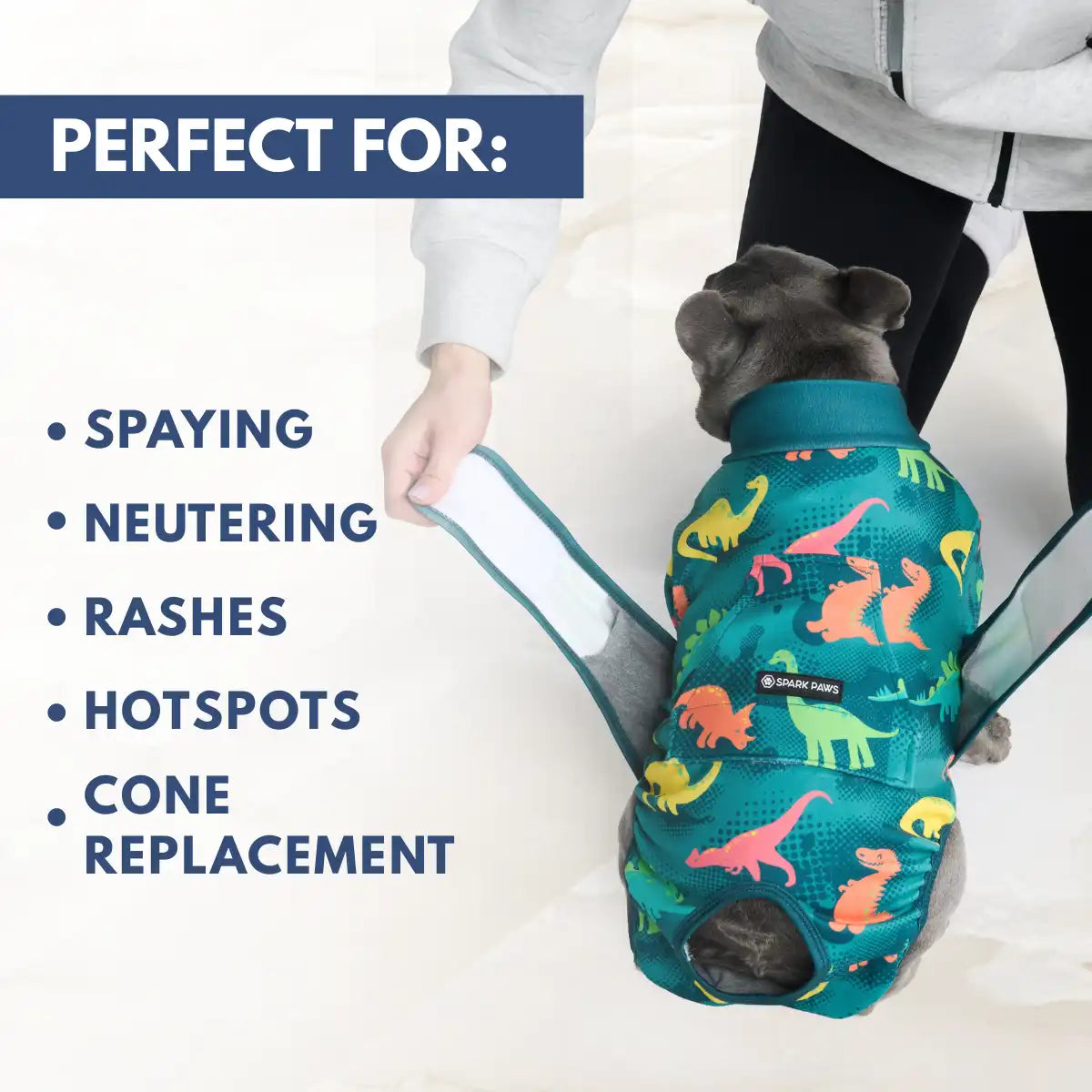 Dog Surgical Suit  (2-pack) - Dinosaurs and Sunshine