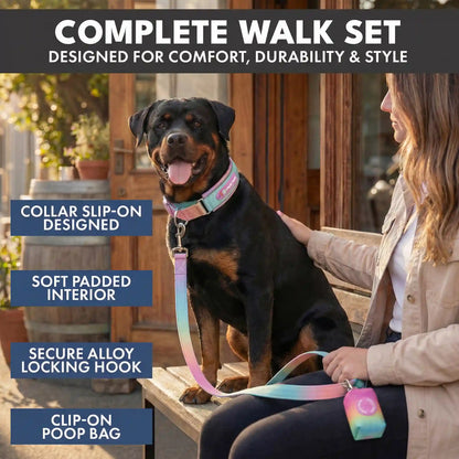 Martingale Collar Set - Pastel Icing