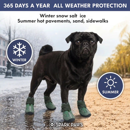 365 All-Season Dog Shoe 4PC Set