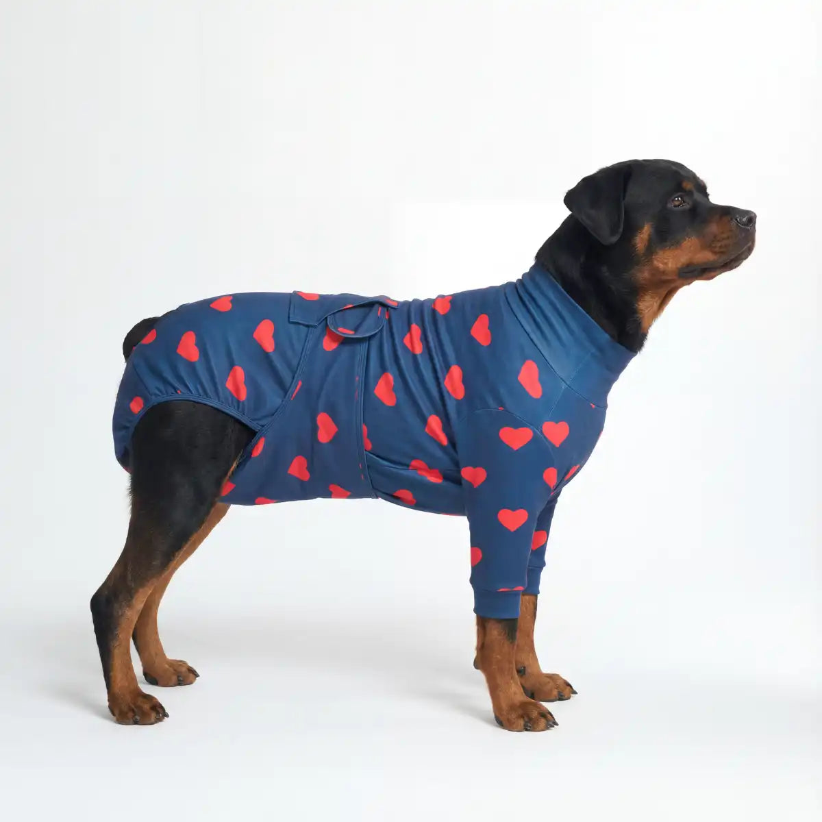 Dog Surgical Suit - Hearts