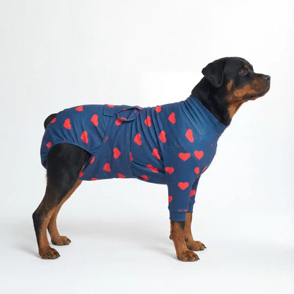 Dog Surgical Suit - Hearts