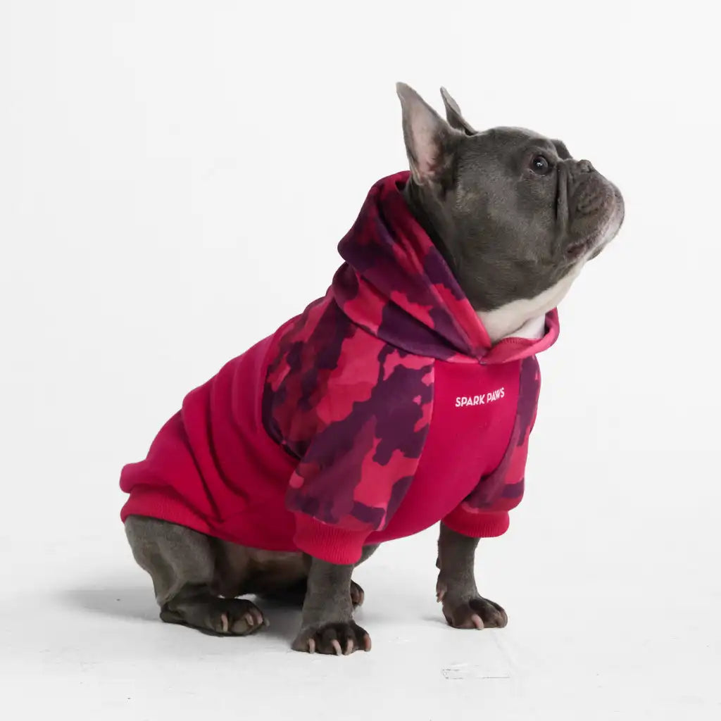 Camo Dog Hoodies