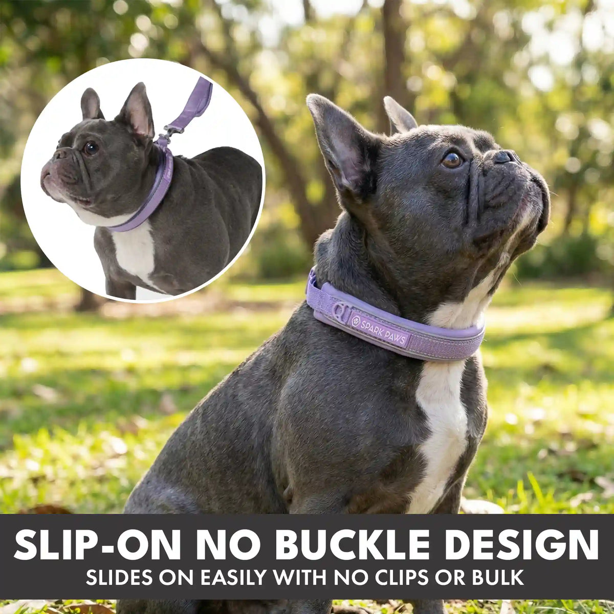 Martingale Collar and Multipurpose Leash Set - Lilac