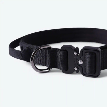 Comfort Control Dog Collars