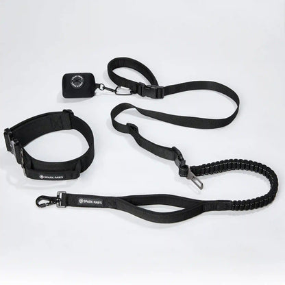 Comfort Control Collar and Multipurpose Leash Set - Black