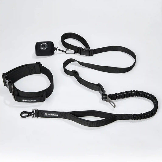 Comfort Control Collar and Multipurpose Leash Set - Black