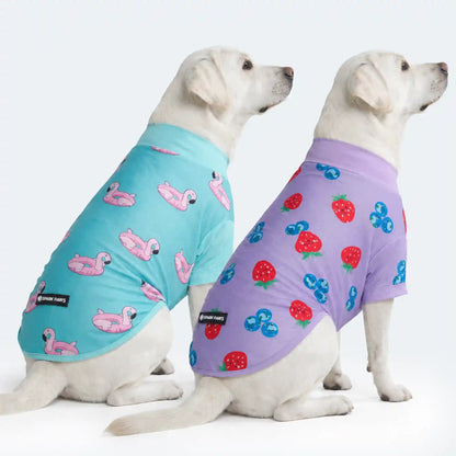 Sunblock Dog T-Shirt 2-pack