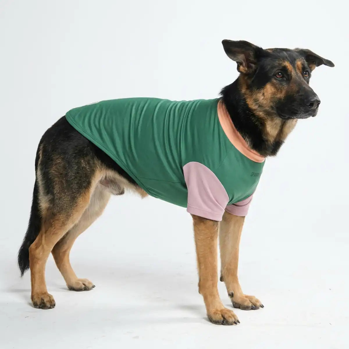 Sunblock Dog T-Shirt - Color Block
