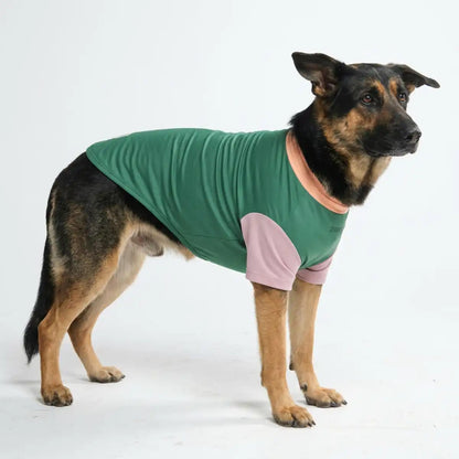 Sunblock Dog T-Shirt - Color Block