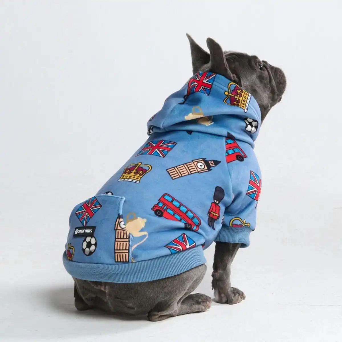 Around the World Dog Hoodies