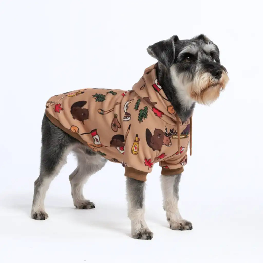 Around the World Dog Hoodies