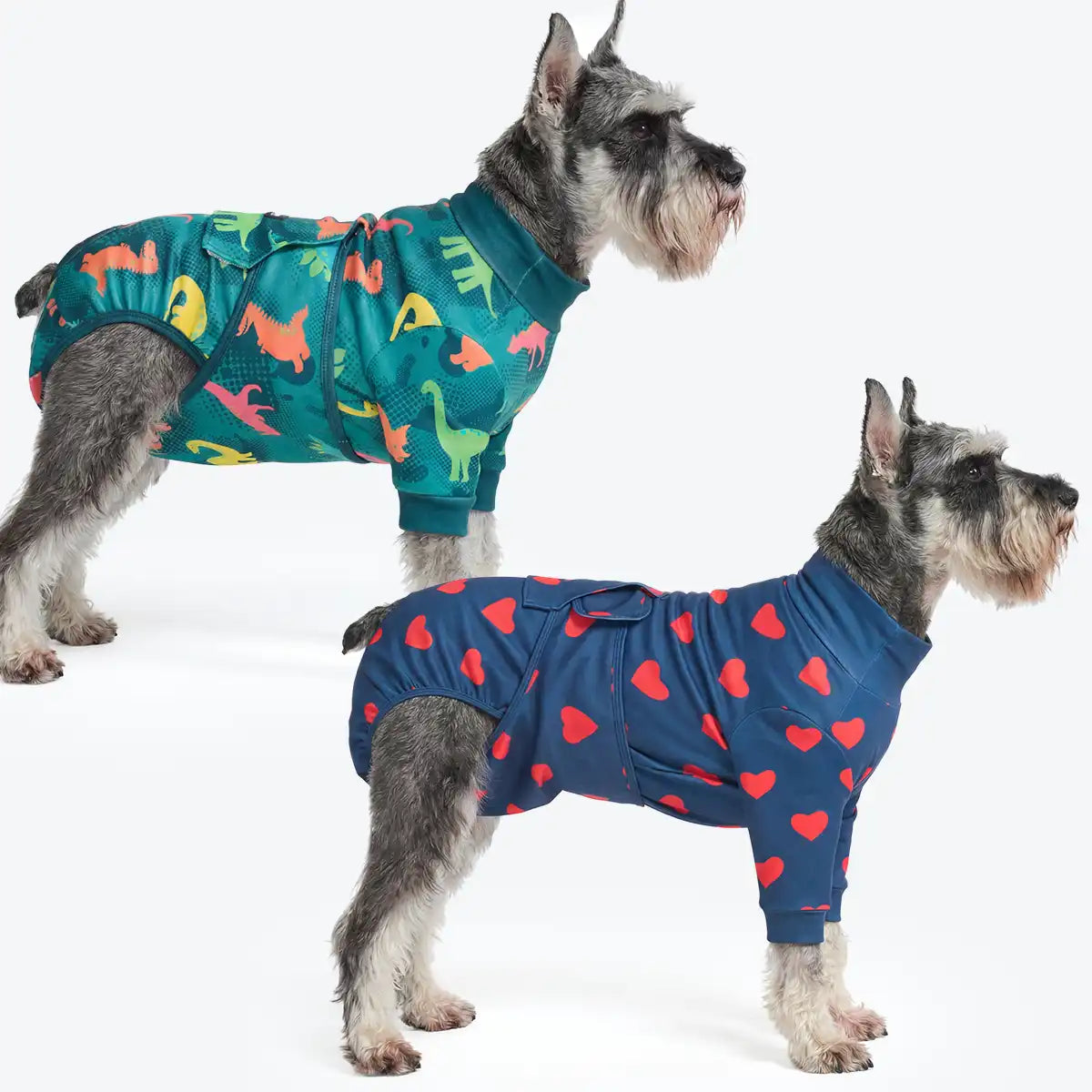 Dog Surgical Suit  2-pack