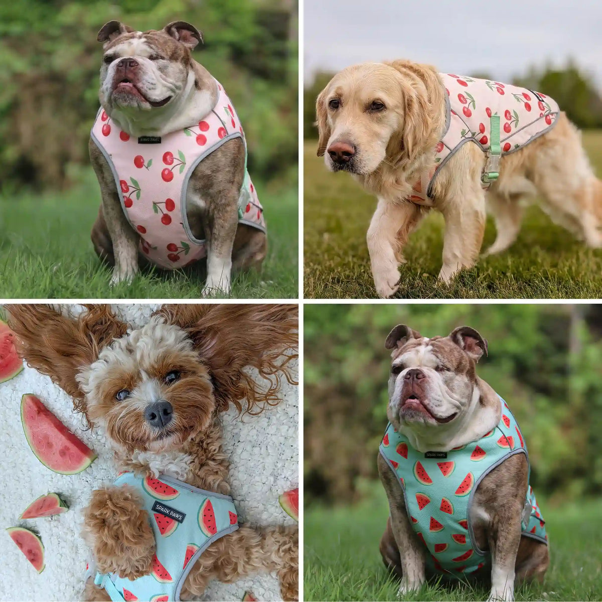 Chilltech™ Dog Cooling Vest 2 Pack