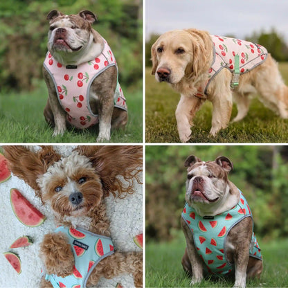 Dog Cooling Vest (2-pack) - Cherries & Watermelon
