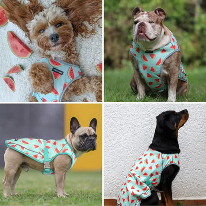 Chilltech™ Dog Cooling Vests