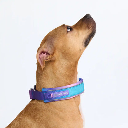 Cushioned Martingale Collars