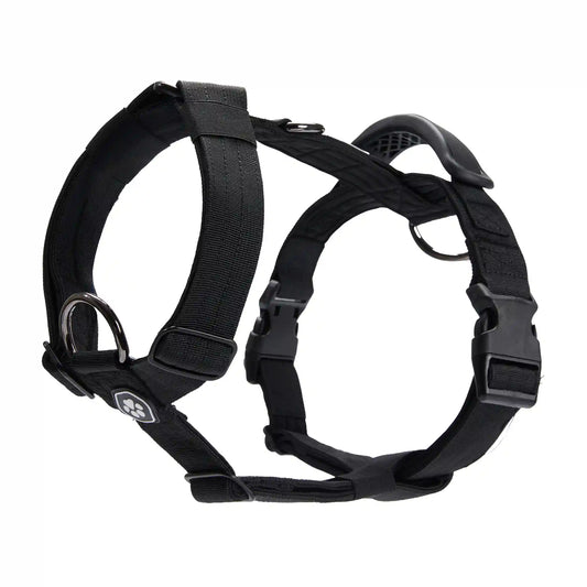 Comfort Control No-Pull Dog Harness - Black