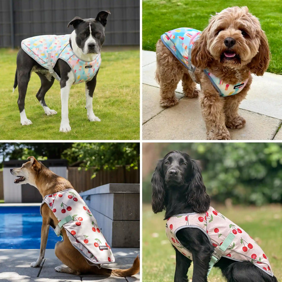 Dog Cooling Vest (2-pack) - Cherries & Popsicles