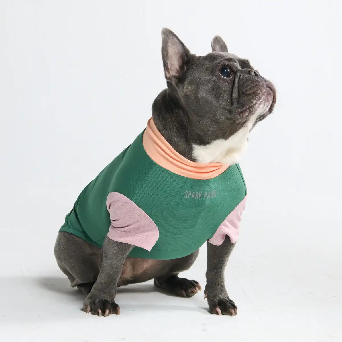 Sunblock Dog T-Shirt - Color Block